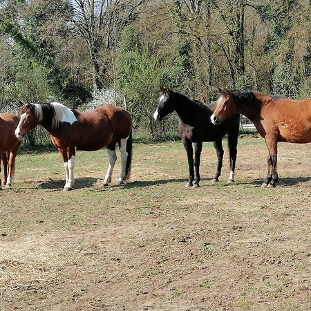 Gite Des 2 Lions Murs-et-Gelignieux Екстер'єр фото